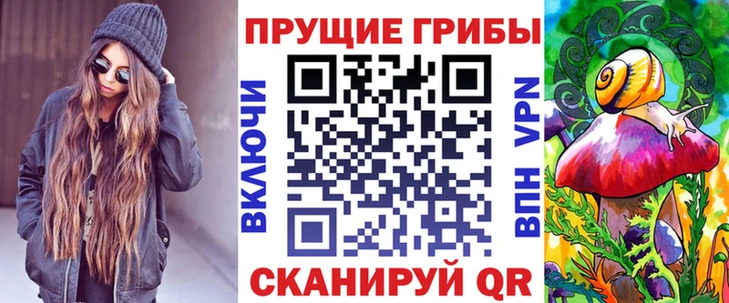 дарк нет как зайти  Бутурлиновка  Галлюциногенные грибы Cubensis  купить  